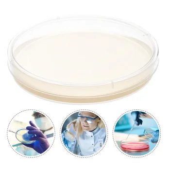 10 adet Petri Yemekleri Agar Laboratuvar Agar Plakaları KÖK Bilim Fuarı Proje Seti