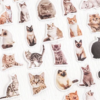 45 Adet Mini Kedi Selfie Pet Kutusu Çıkartmalar Karikatür Durumda Kolaj Dekoratif sevimli el yapımı Malzeme Scrapbooking 4CM