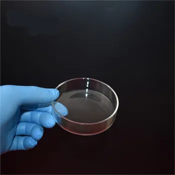 5 adet / grup 100mm Yüksek Kaliteli Cam Petri kabı Laboratuvar için Plaka Bakteriyel Maya Çapı