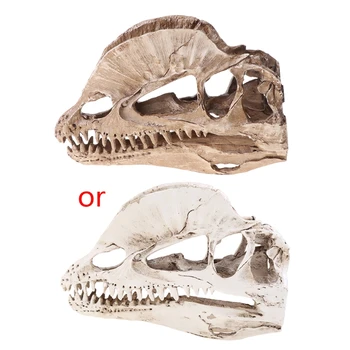 Dilophosaurus Dinozor Kafatası Reçine El Sanatları Fosil İskelet model beyin Dropship