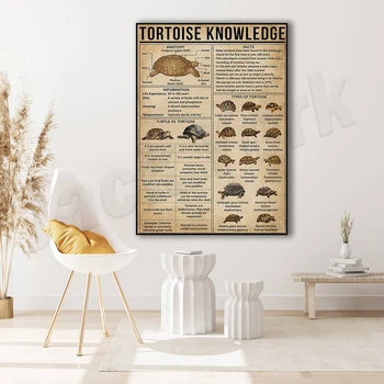 Kaplumbağa Bilgi Posteri, Deniz Kaplumbağası Sevenler için Bilgi Deniz Kaplumbağası Posteri Deniz Kaplumbağası Türleri Rehberi