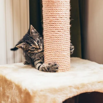 Yedek Sisal Halat Pet Kedi tırmalama sütunu Pençe Bakımı Oyuncak Tamir Geleneksel İşleme Yapma Masa Ayakları Bağlama Halatı Yeni