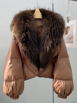Yeni Kış Sıcak Kadınlar Gerçek Doğal Rakun Kürk Yaka Kaz Tüyü Ceketler Kirpi Ceketler Kalın Kadın Streetwear Mont