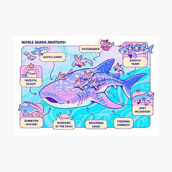 Balina Köpekbalığı Anatomisi Poster Sticker Tampon Sanat Duvar Dekor Anime Araba Baskı Ev Arka Plan Süslemeleri Bagaj Odası