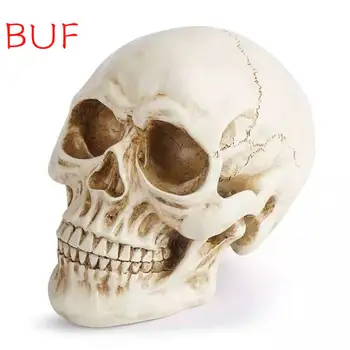 BUF İnsan Kafası Kafatası Modeli Reçine Kafatası Dekorasyon Heykeli Ev Odası Dekorasyon Kafatası Heykel Cadılar Bayramı Dekorasyon Heykelcik